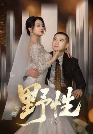 分手后,顶头上司要嫁我(70集) 分手后,顶头上司要嫁我(70集)越看越好看短剧