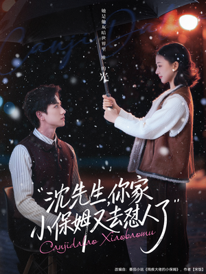 沈先生，你家小保姆又去怼人了（82集）热门短剧推广