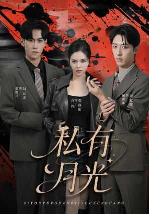 私有月光（78集）免费短剧大全