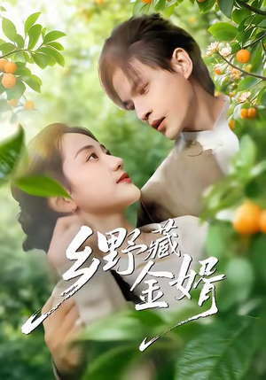 乡野藏金婿（50集）火爆短剧热播中