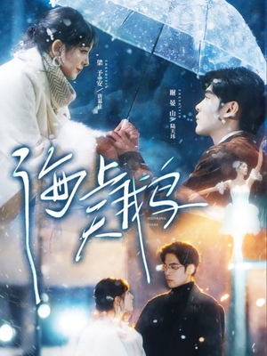 海上天鹅（70集）简直不要太好看