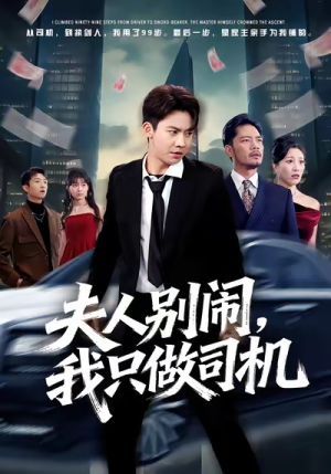 夫人别闹我只做司机（80集）番茄短剧看全集