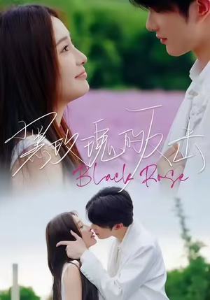 黑玫瑰的反击（47集）一共多少集