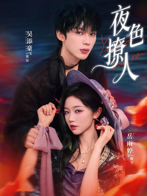 夜色撩人（76集）在线看