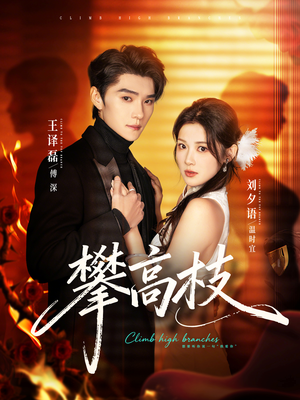 攀高枝（70集）红果短剧看全集