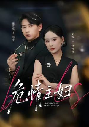 危情主妇（60集）短剧追到爽