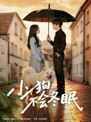 小狗不会冬眠(70集) 小狗不会冬眠(70集)精彩短剧天天看