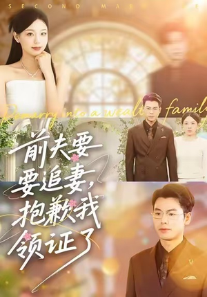 前夫要追妻，抱歉我领证了（81集）短剧演员排行榜