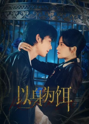 以身为饵（61集）热门短剧追不停