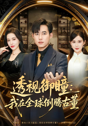 透视御瞳：我在全球倒腾古董（80集）网络小短剧