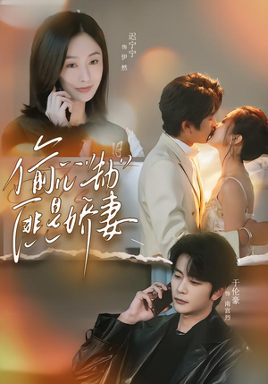 偷“心”劫匪是娇妻（61集）短视频追剧推荐