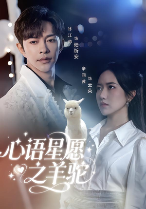 心语星愿之羊驼（60集）上热门短剧