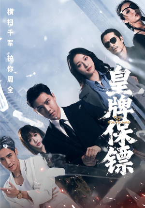 皇牌保镖（66集）超好看古装短剧