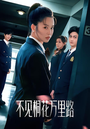 不见桐花万里路（71集）一起看短剧