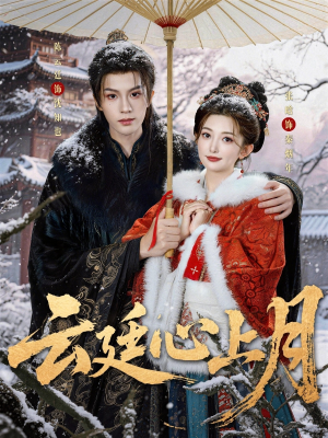 云廷心上月（80集）高分推荐免费看