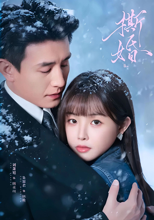 撕婚（23集）精彩短剧合集