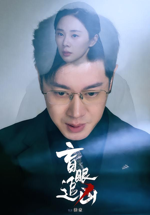 盲眼追凶（60集）360网盘观看