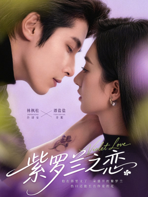 紫罗兰之恋（82集）免费看全集