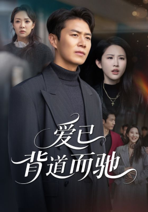 爱已背道而驰（70集）百度网盘资源