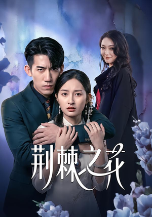 荆棘之花（100集）这短剧太好看了