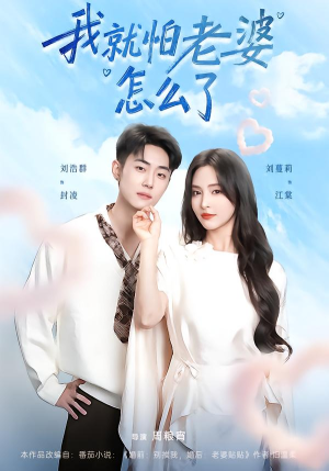 我就怕老婆怎么了(88集) 我就怕老婆怎么了(88集)热门短剧抢先