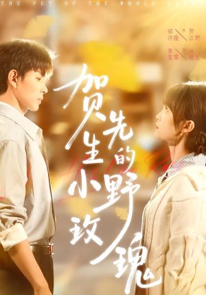 贺先生的小野玫瑰（99集）在线看