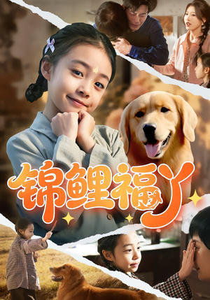 锦鲤福丫（81集）正能量短剧分享