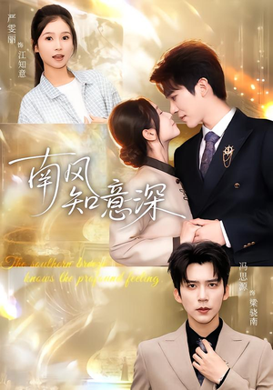 南风知意深（40集）完整版免费观看