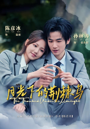 月光下的荆棘鸟（80集）免费看