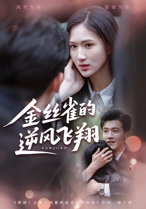 金丝雀的逆风飞翔（80集）好看的短剧分享