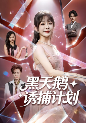 黑天鹅诱捕计划（81集）好看短剧追不停