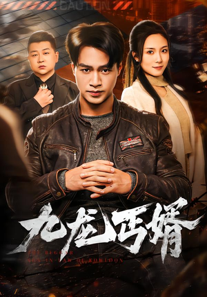 九龙丐婿（81集）热门短剧大全