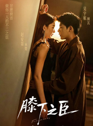 膝下之臣（56集）全集我都看完了