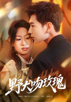 野犬吻玫瑰（70集）爆款热门短剧