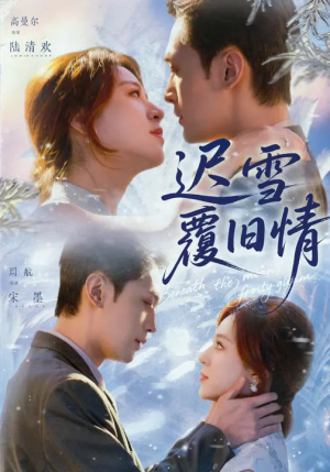 迟雪覆旧情（62集）免费看