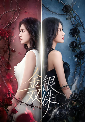 金银双姝（80集）在哪里看