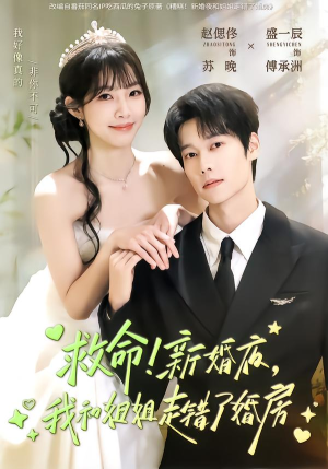 救命！新婚夜，我和姐姐走错了婚房（58集）短剧全集完整