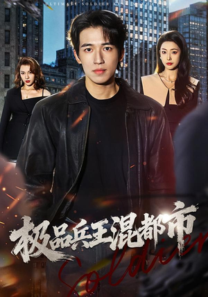 极品兵王混都市（72集）网盘在线观看