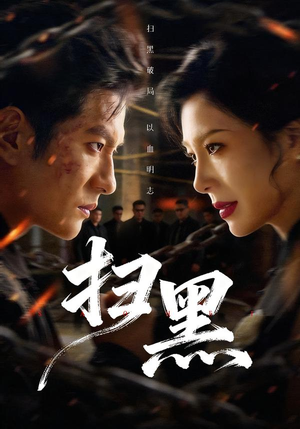 扫黑（70集）一口气看完全集