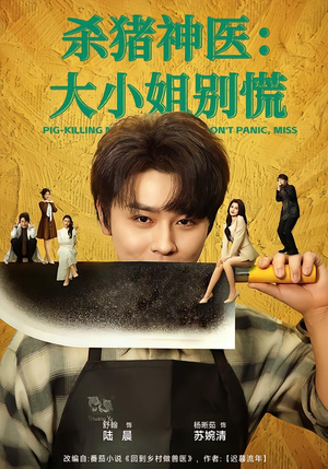 杀猪神医，大小姐别慌（80集）热门短剧推荐。