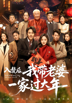 入赘后，我带老婆一家过大年（60集）短剧推荐上热门