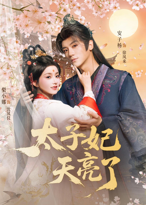 太子妃天亮了（80集）短视频追剧推荐