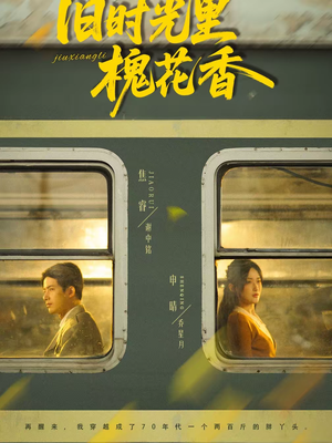 旧时光里槐花香（70集）全网短剧抢先看