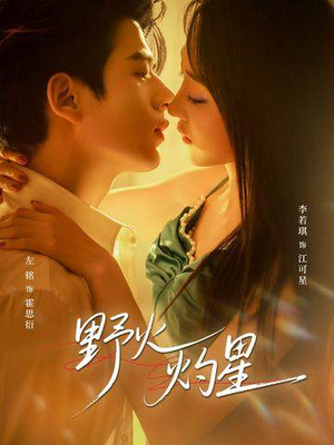 野火灼星（56集）短剧精彩片段