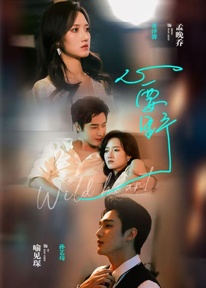 心要野（62集）短剧热门合集