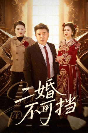 二婚不可挡（36集）短剧抢先看全集