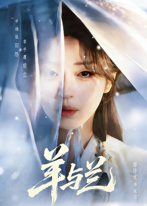 羊与兰（62集）常回家看看短剧