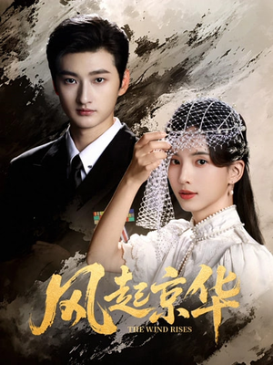 风Q京华（60集）在线看