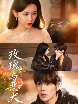 玫瑰与恶犬（80集）短剧热播抢先看