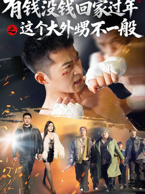 有钱没钱回家过年之这个大外甥不一般（81集）80到100集